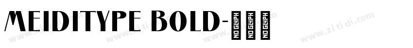 MEIDITYPE BOLD字体转换